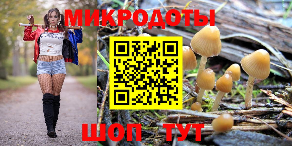 Псилоцибиновые грибы Magic Shrooms  Галлюциногенные грибы GOLDEN TEACHER  Вход с VPN  цена   Отрадный 
